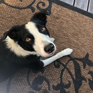 Meet your Posher, Sheri